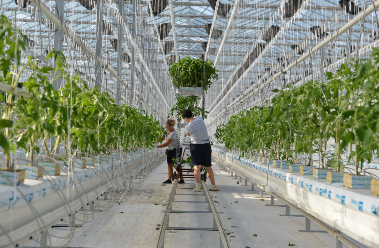 Světlo z polských skleníků prověřili astronomové